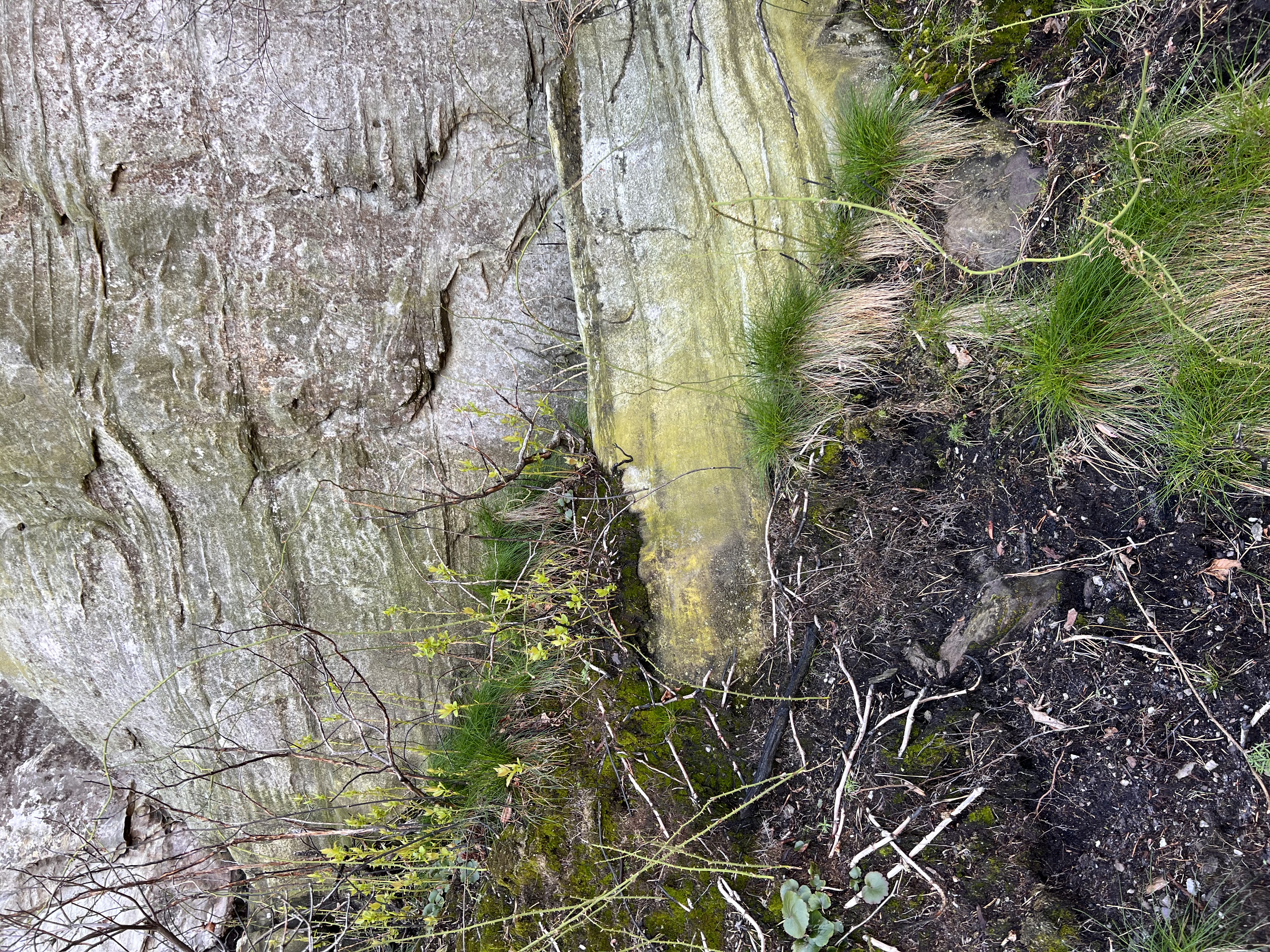 ./2023/05 - Toni Adventures/IMG_2980.JPG